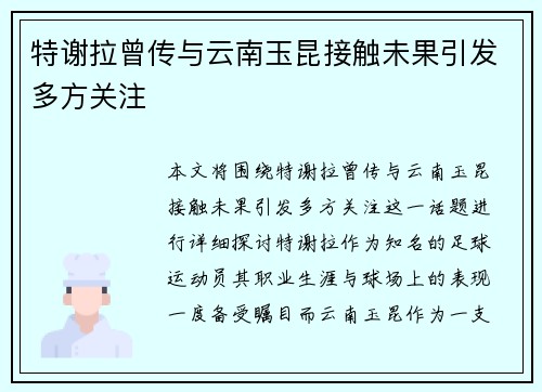 特谢拉曾传与云南玉昆接触未果引发多方关注